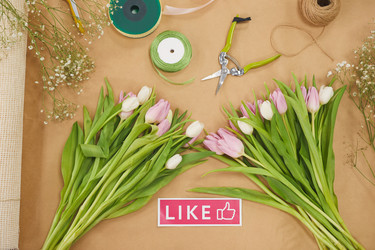 Similar image 20794294