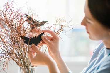 Similar image 20865676