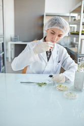 Similar image 20796371