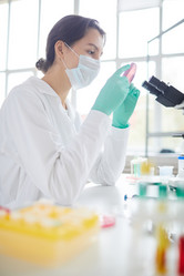 Similar image 20871911