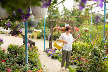 Similar image 20849955