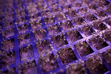 Similar image 20821982