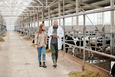 Similar image 20801707