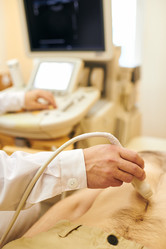 Similar image 20826078