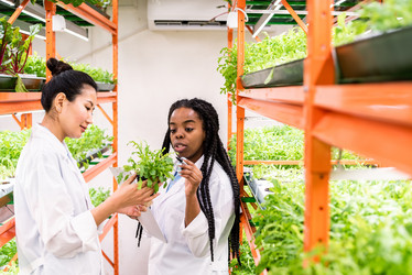 Similar image 20885593