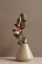 Similar image 20831061