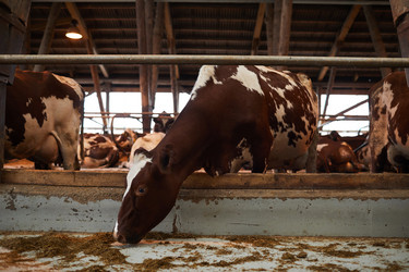 Similar image 20830293