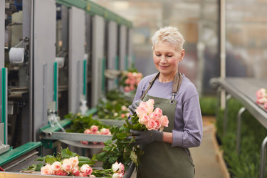 Similar image 20803418