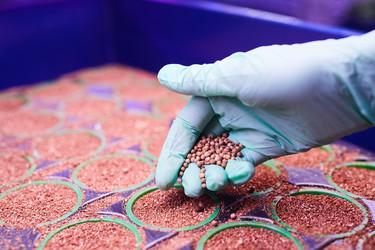 Similar image 20815581