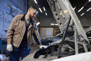 Similar image 20808012