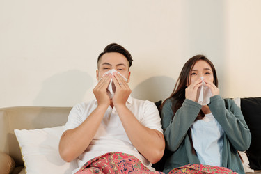 Similar image 20832966