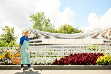 Similar image 20885960