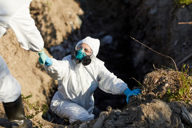 Similar image 20791874