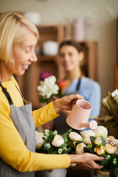 Similar image 20858720