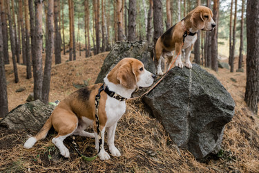 Similar image 20864997