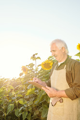 Similar image 20790804