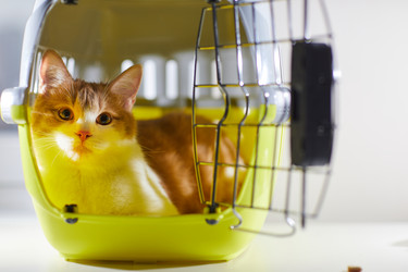 Similar image 20818251