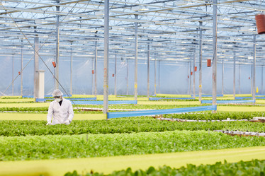 Similar image 20814385