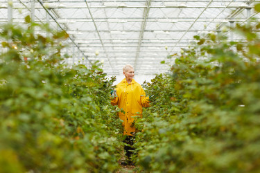 Similar image 20789675