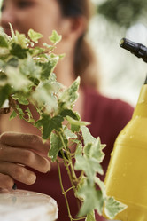 Similar image 20867135