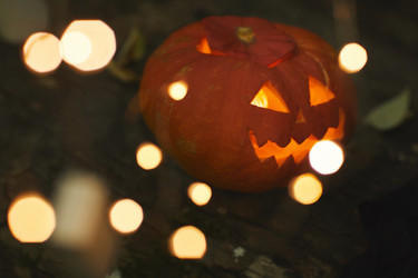 Similar image 20802546