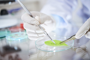 Similar image 20889871