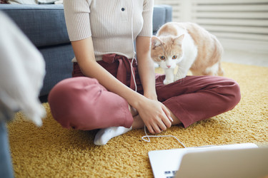 Similar image 20820559