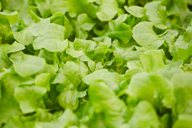 Similar image 20836325