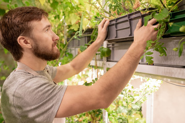 Similar image 20826727