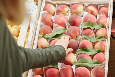 Similar image 20816675