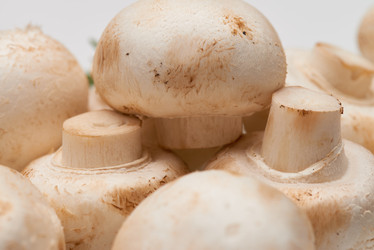 Similar image 20816321