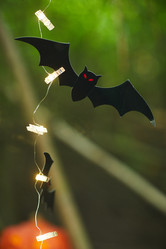 Similar image 20820211