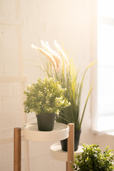 Similar image 20846523