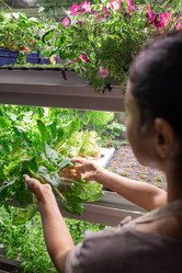 Similar image 20825156