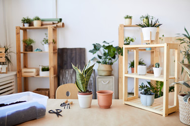 Similar image 20797202