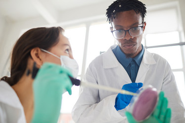 Similar image 20854784