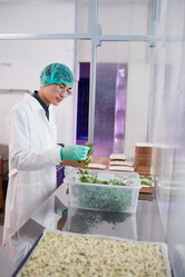 Similar image 20816471