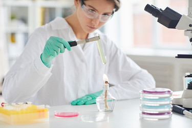 Similar image 20849819