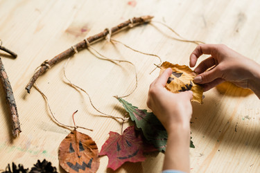 Similar image 20846058