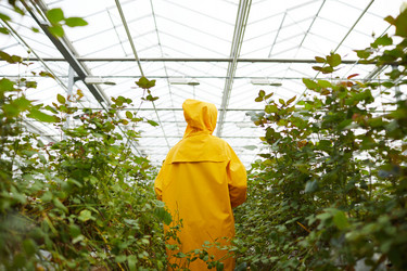 Similar image 20806604