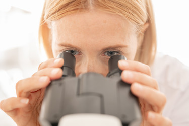 Similar image 20863390