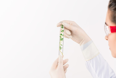 Similar image 20803764