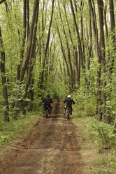 Similar image 20799643