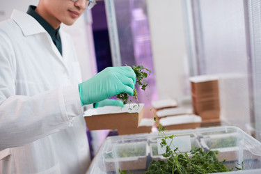 Similar image 20836973