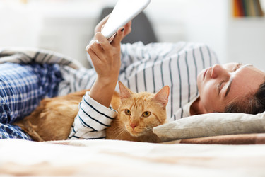 Similar image 20881014