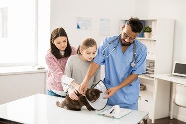 Similar image 20878100