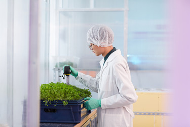 Similar image 20821721