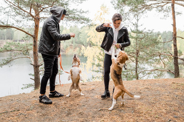 Similar image 20887195