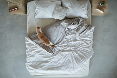 Similar image 20831027