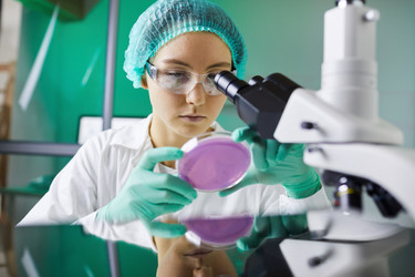 Similar image 20864622